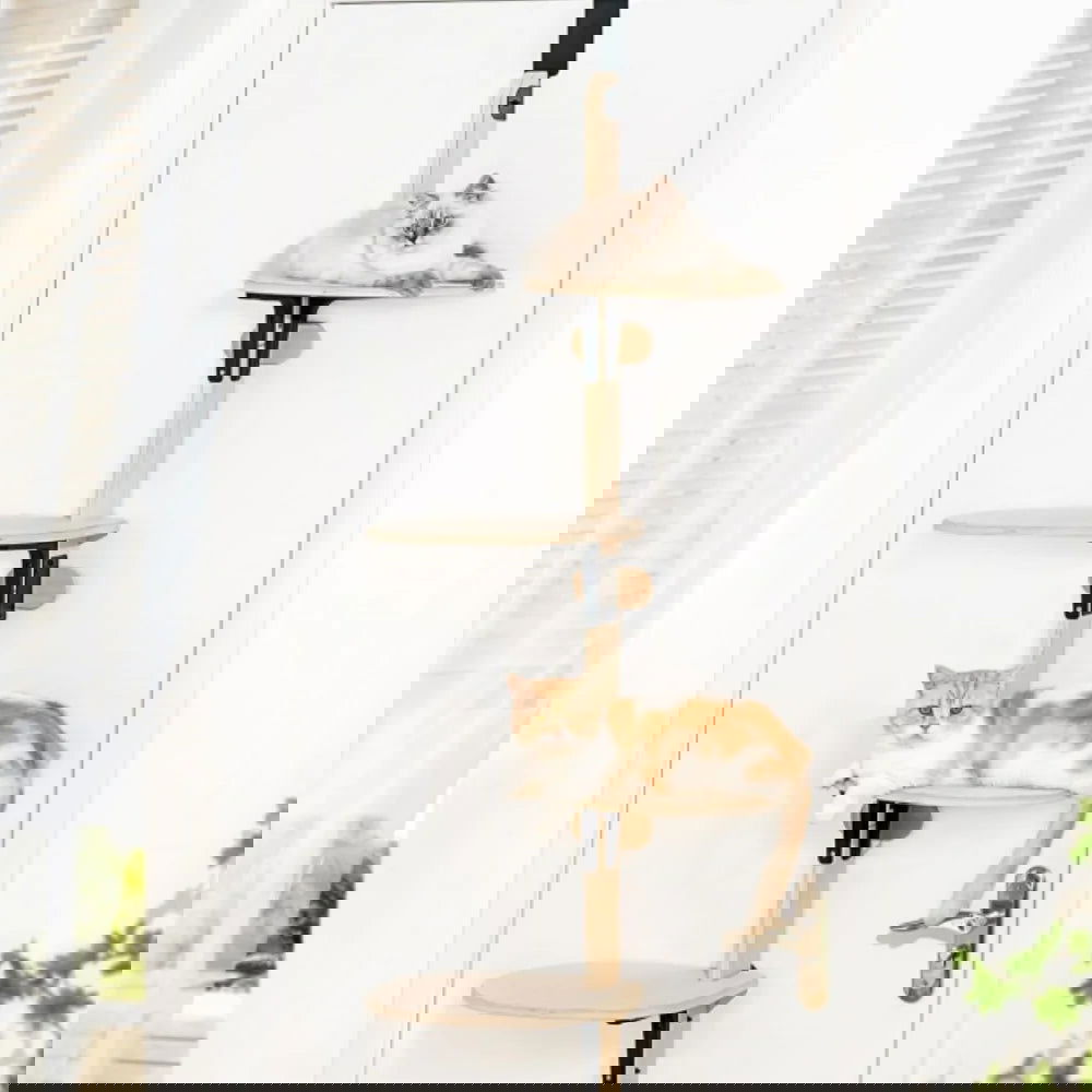 4-Level Cat Climber Shelves: Space-Saving Vertical Tree for Active Cats - catitudecare - #tag1# - #tag2# - #tag3# - #tag4# 